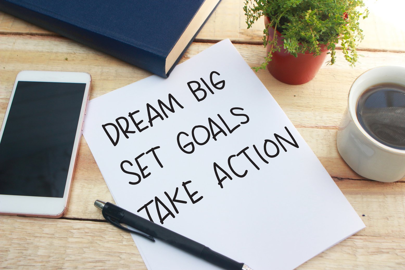 Dream Big Set Goals Take Action